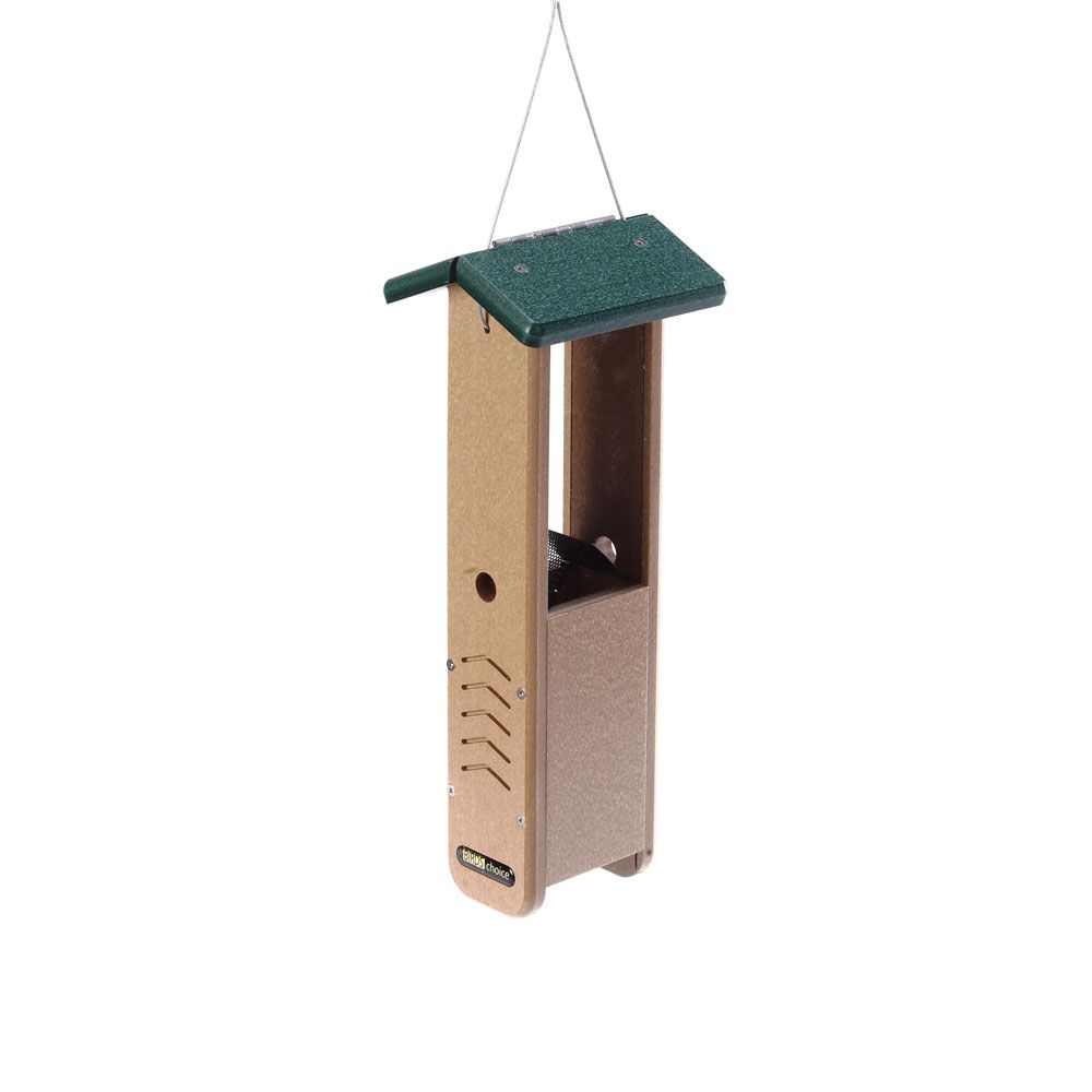 bc-woodpecker-feeder.jpeg