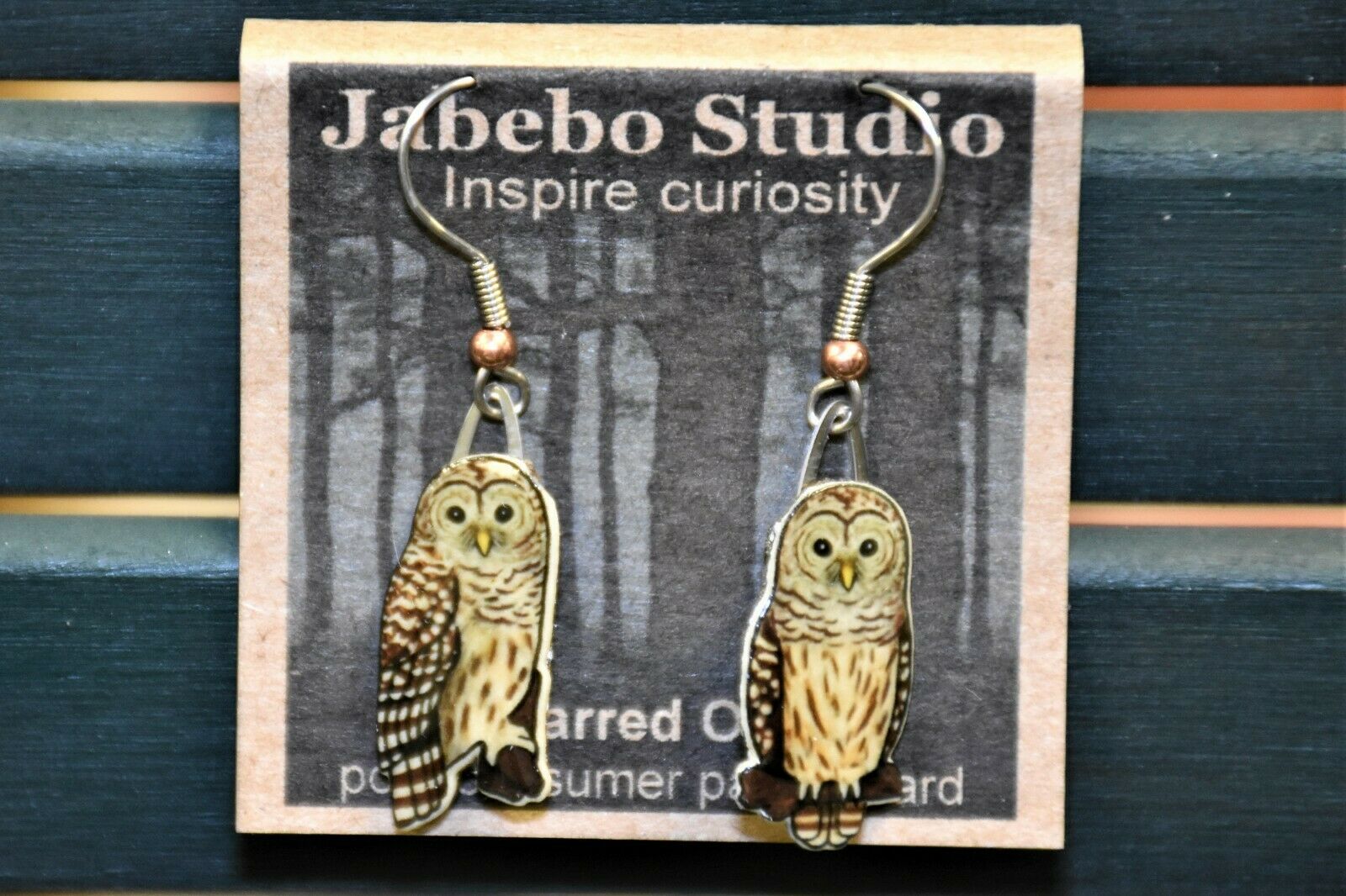 jab-owl-barred.jpg