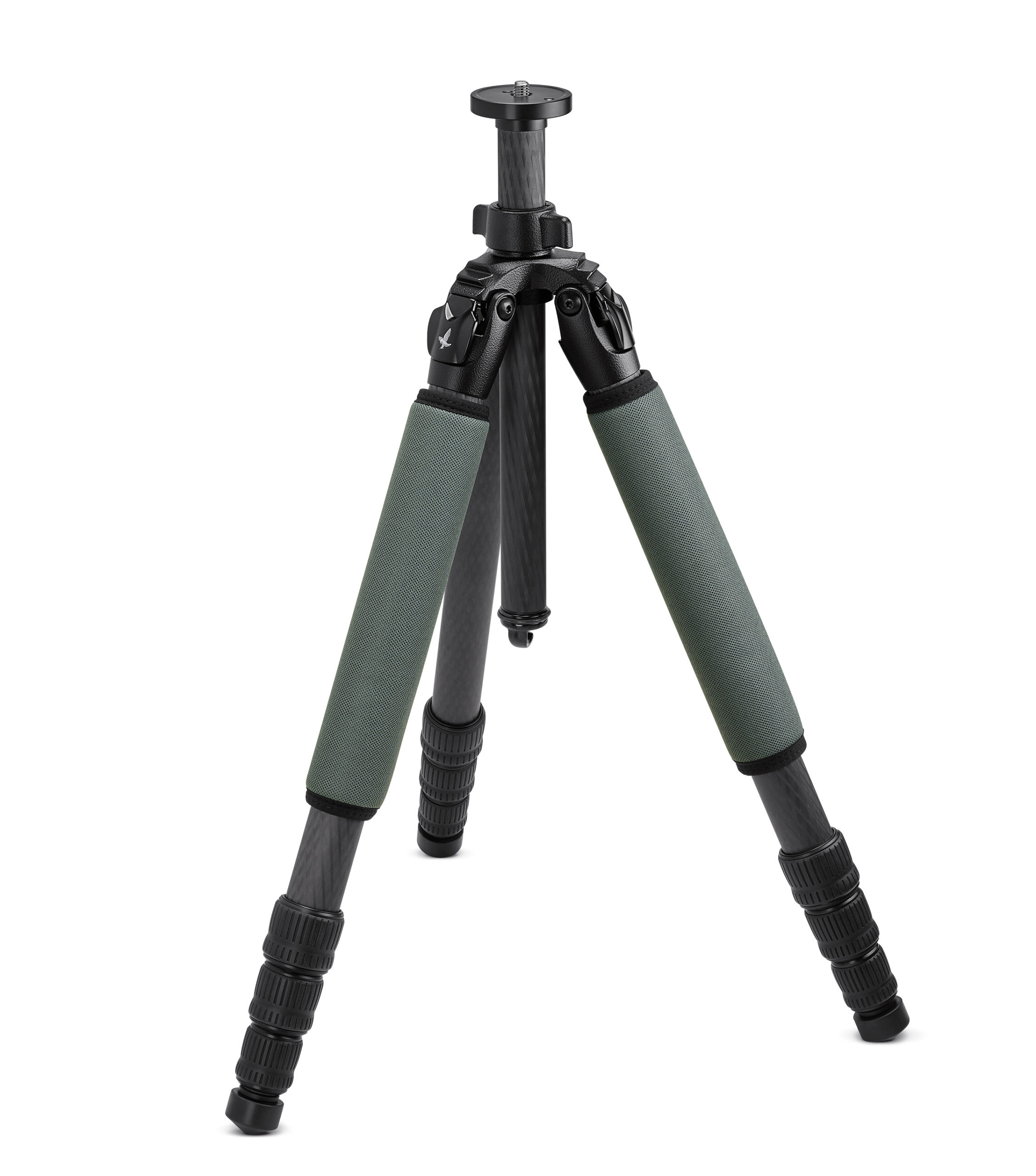 swaro-pct-legs-scaled-1.jpg